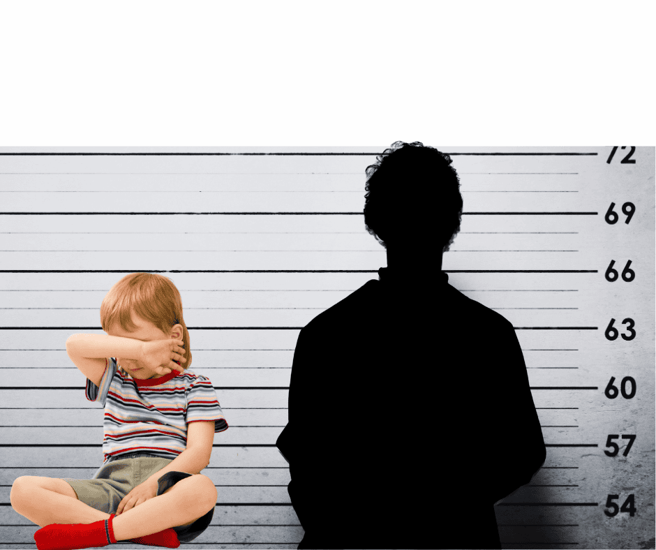 Custody Cases & Registered Sex Offenders